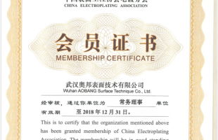 中國電鍍協(xié)會(huì)理事